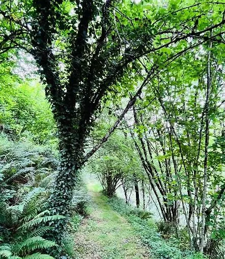 Le Val De Coussane Villa Coubisou France